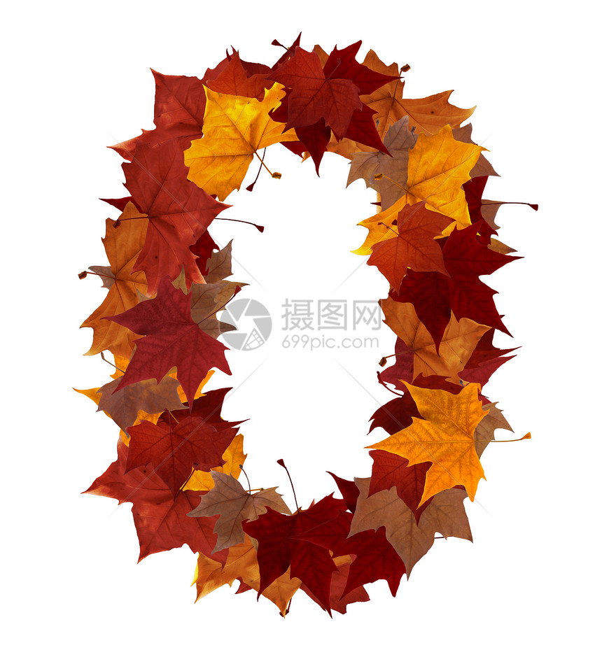 孤立的多色秋叶构成零数 0白色黄色红色学校数字教育植物群收藏金子树叶图片