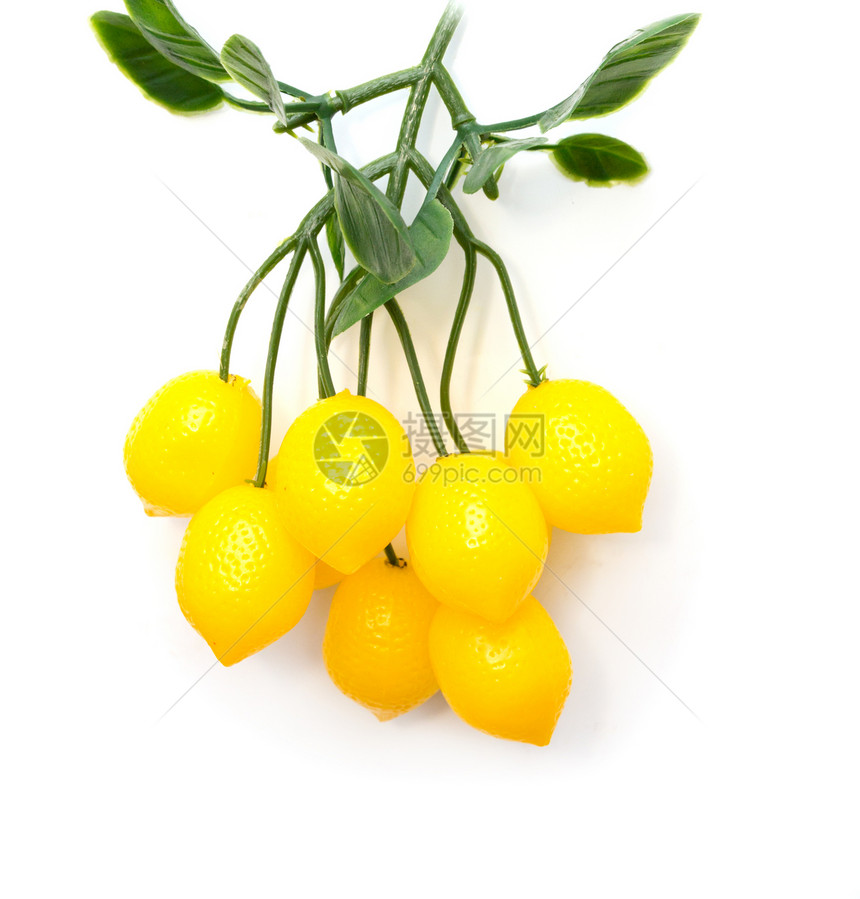 白底树上的柠檬图片
