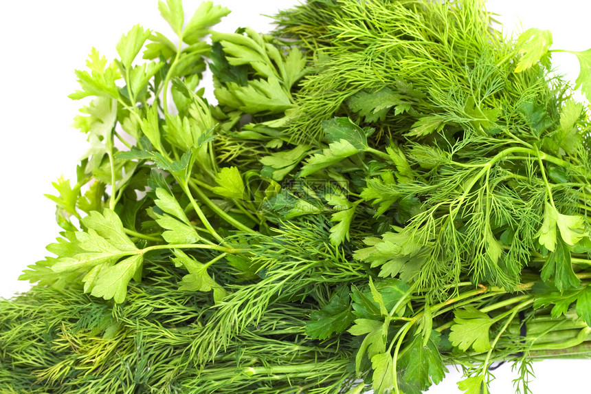 dill 和 arsley叶子植物分册饮食花园床单食物香菜草本植物百里香图片