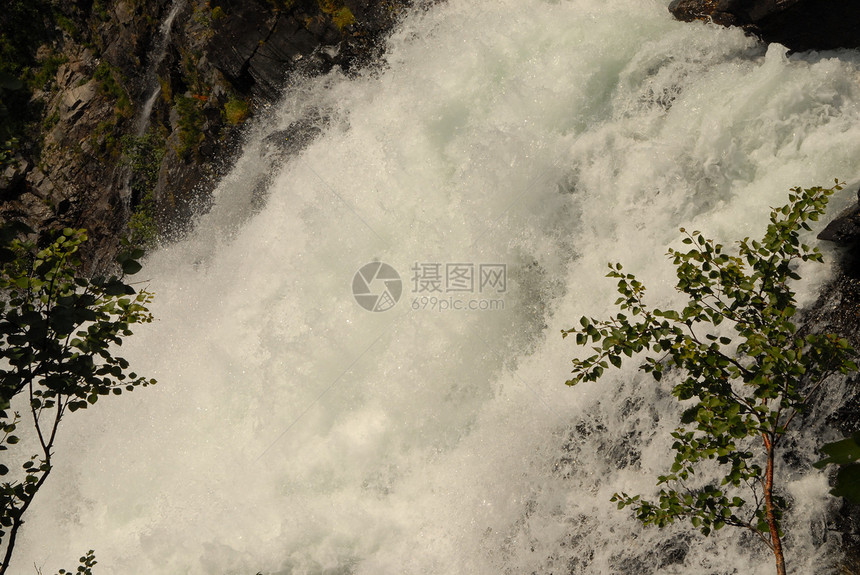 斯堪的纳维亚海滨植物日出海岸荒野生活树叶海洋叶子日落图片