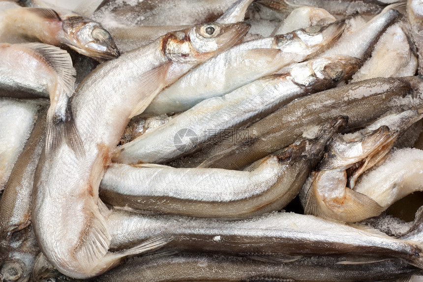 市场上的冰中的鱼海鲜冷却器食物尾巴鲭鱼购物团体零售熟食主食图片