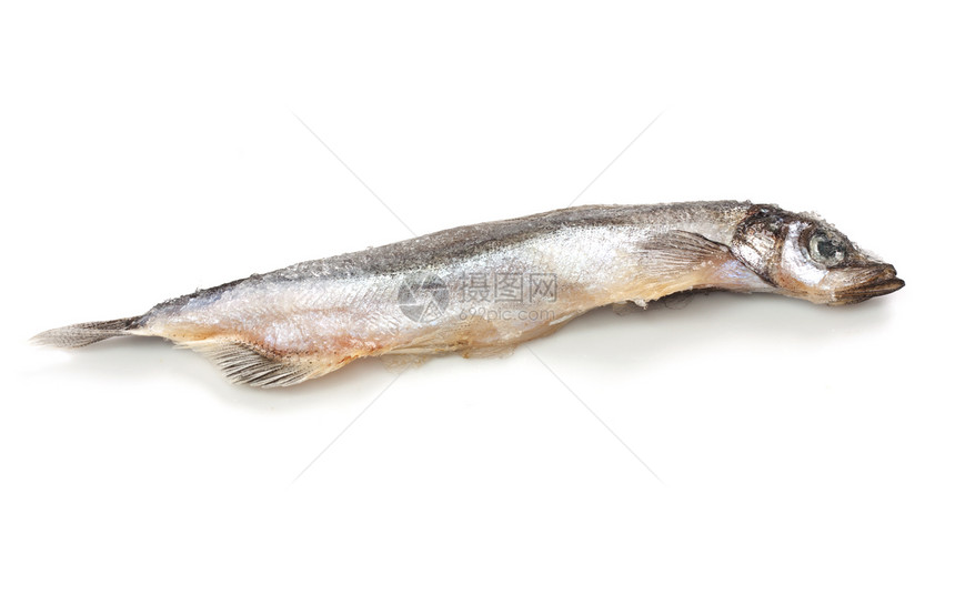 特写一个白色的沙丁鱼 上面有个小影子菜单钓鱼食物眼睛营养阴影游泳午餐海洋尾巴图片