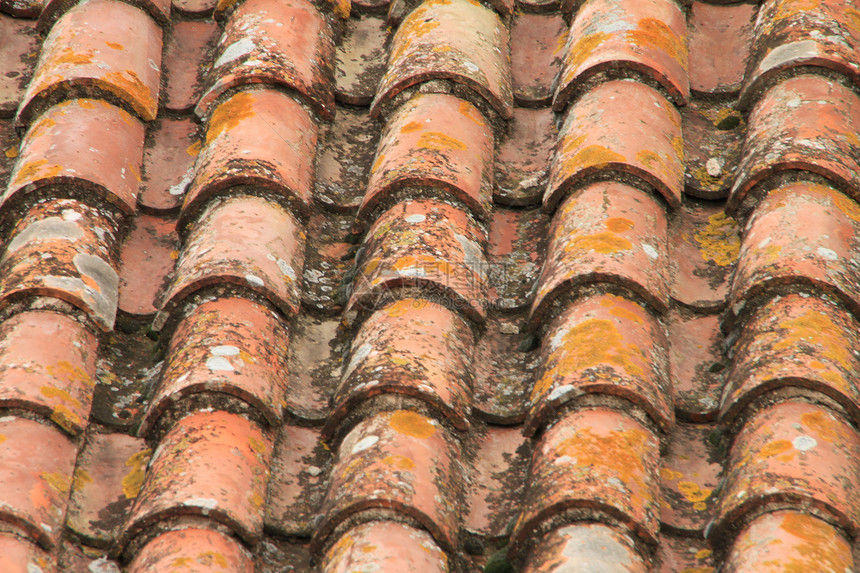 一个城市的中世纪屋顶瓷砖地衣陶瓷灰色红色棕色古董图片