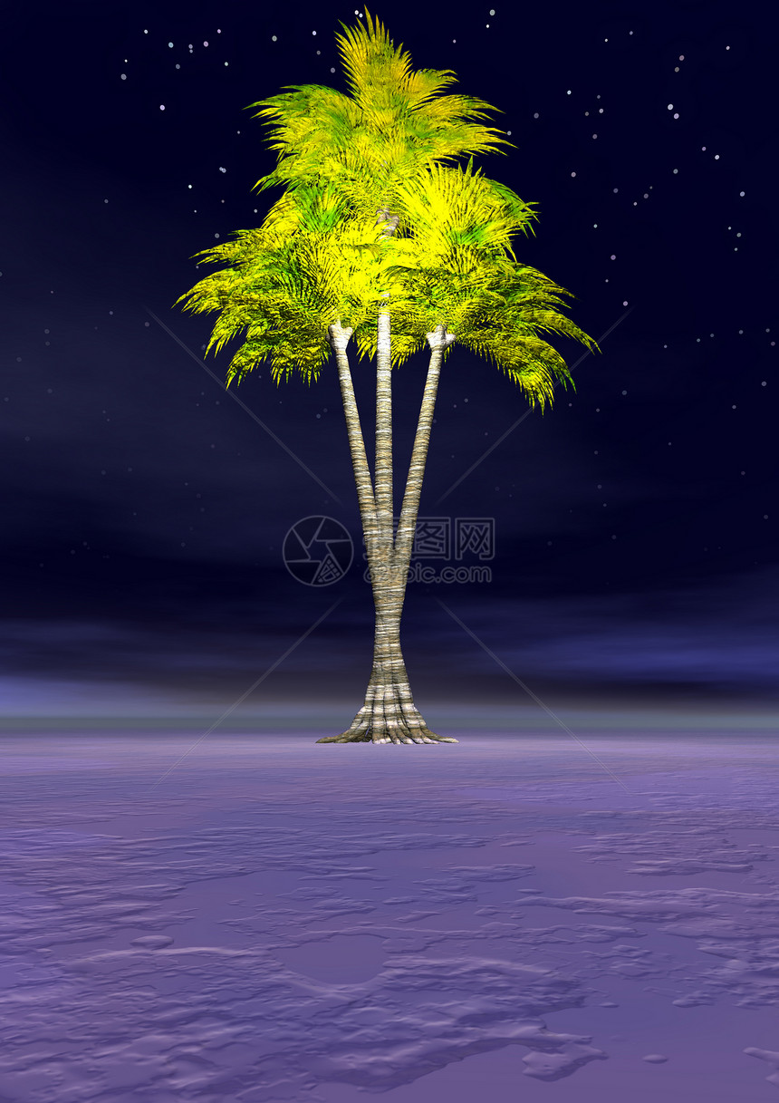 椰枣树蓝色天空季节爬坡黑色草地天气风景地平线场景图片