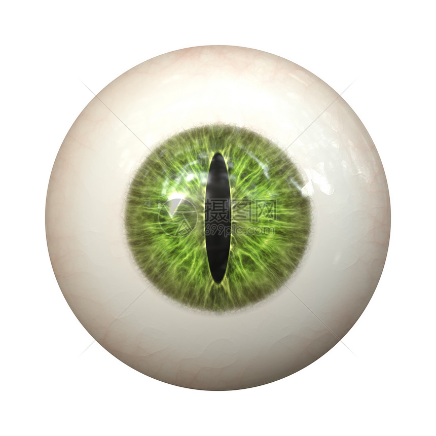 眼纹理黑色睫毛动物眼睛天空宠物瞳孔绿色视网膜反射图片