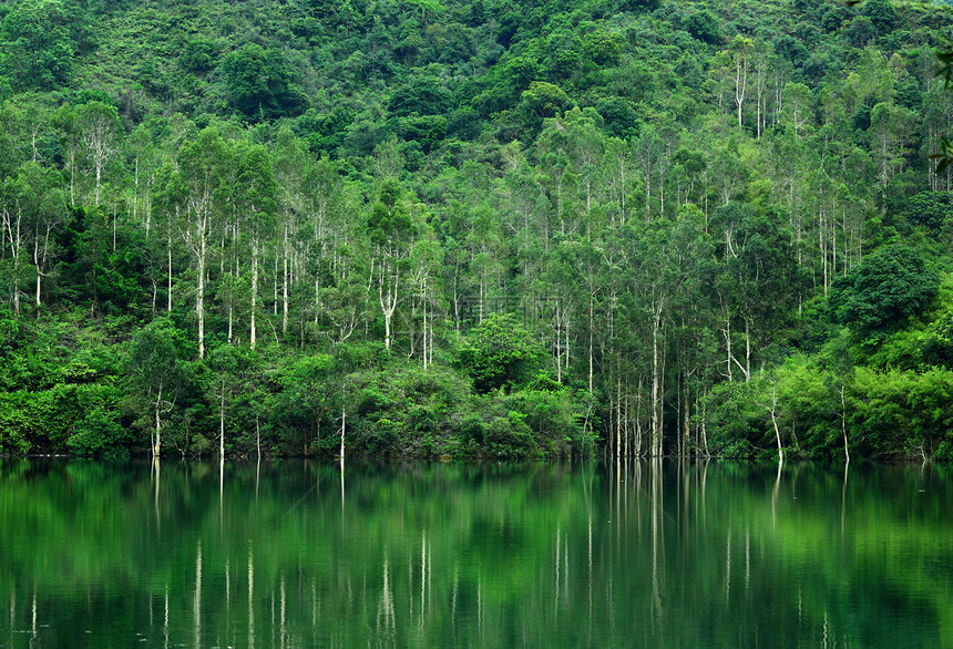 森林湖边缘支撑场景荒野池塘城市天空树木环境反射图片