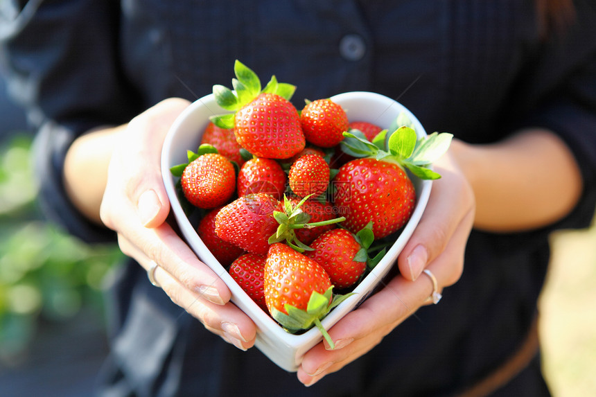 草莓 用手在心形的碗里采摘园艺茶点生长季节浆果叶子美食收获水果图片