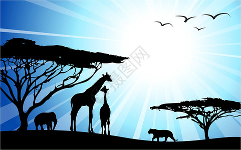肯尼亚动物非洲远洋     休游衬套公园阳光场景场地动物荒野旅游游客地平线插画