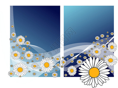 牛眼雏菊含有鲜花的抽象草地插画