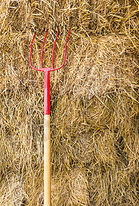 坑叉沥青金子草地干草场地工具收成植物稻草夹钳高清图片