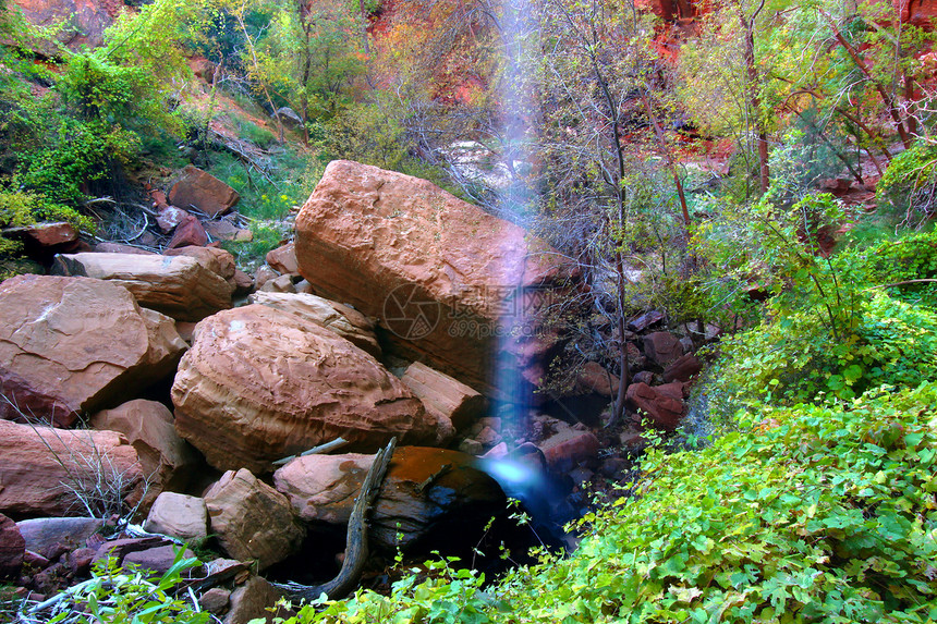 犹他州瀑布植被栖息地植物群旅行地质学悬崖瀑布环境植物岩石图片