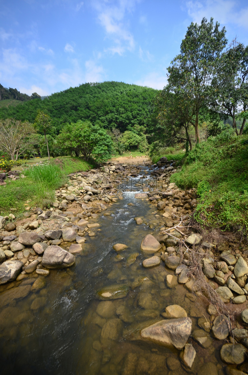 高地丛林石头岩石公园环境流动瀑布叶子木头绿色植物图片