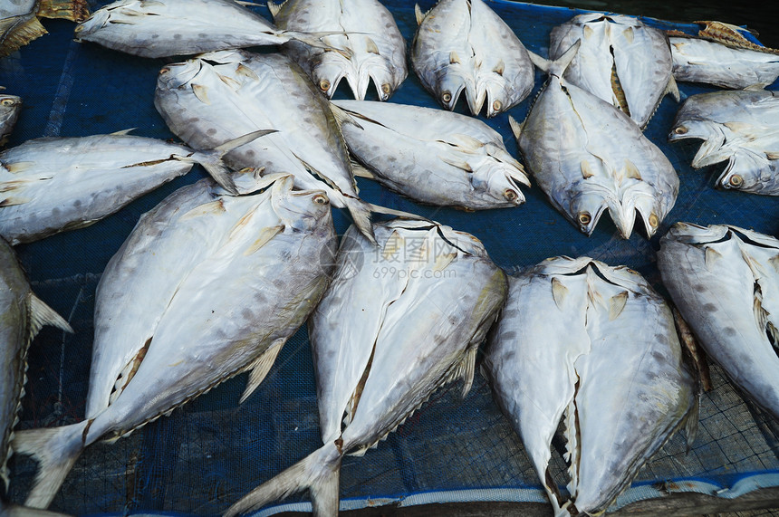 干鱼美食鲭鱼阳光团体海洋烹饪钓鱼地面国家海鲜图片