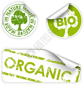 环境标签一套生物/生态/有机标签设计图片