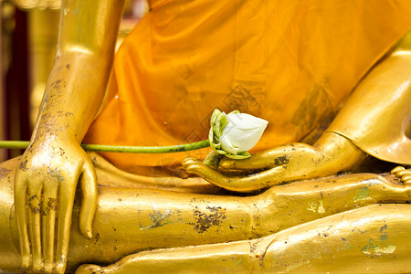 莲花雕塑佛像中的莲花佛教徒宗教冥想黄色寺庙上帝手指艺术精神文化背景