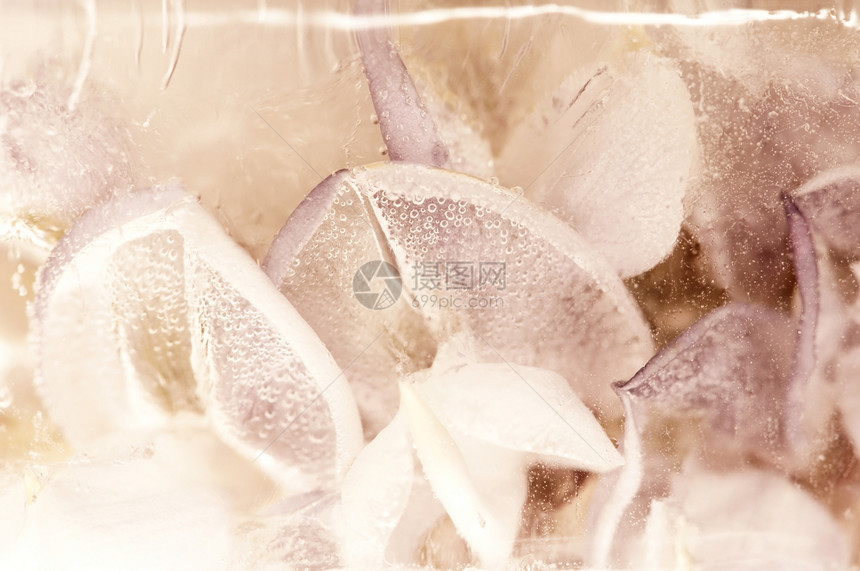 冰冻的花朵 冰块中的花朵冻结玻璃植物脆弱性美味桌面花束窗户墙纸礼物图片