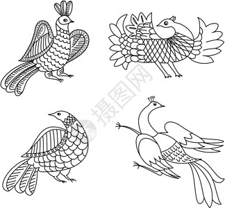 鸟类矢量图形装饰背景图片