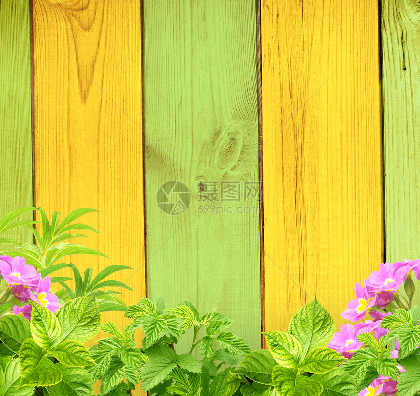 夏季背景花园乡村框架绿色木头牧场国家击剑植物墙纸图片