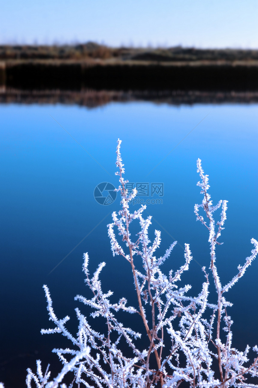 雪中的冰树枝与寒冷的蓝天和河流相对图片
