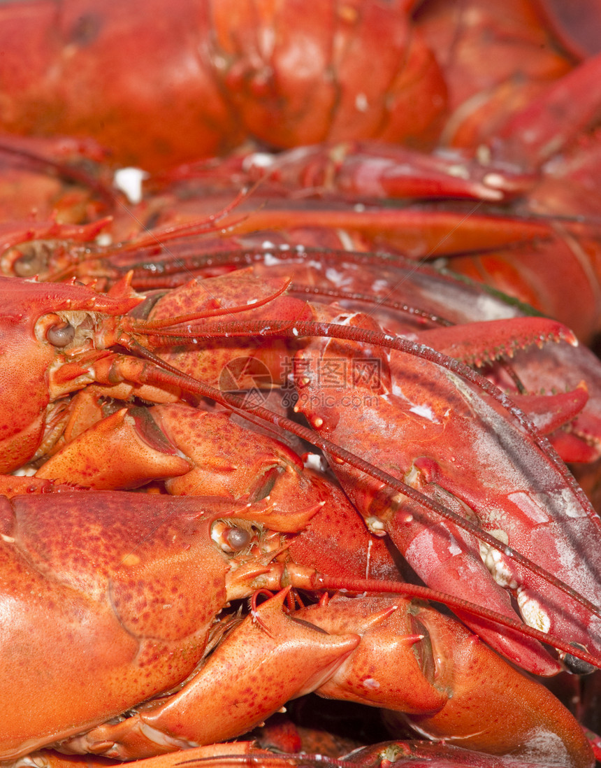 龙虾小龙虾美食橙子菜单贝类海鲜美味甲壳烹饪食物图片