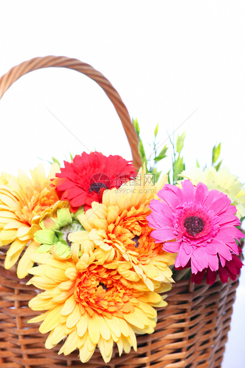 彩色花朵的一篮子图片