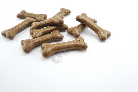 狗咬骨头狗食物饼干形状像骨头一样 在白色背景上被孤立背景