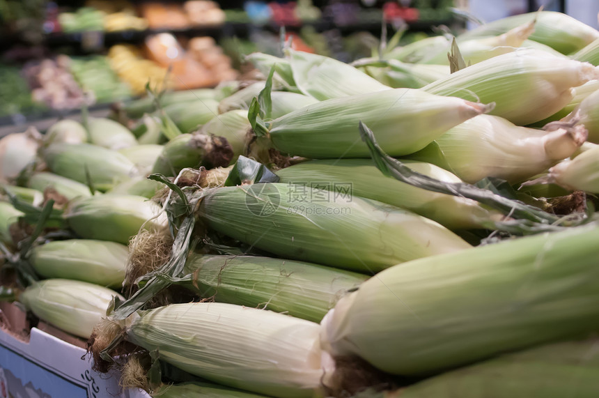 在农民市场上展示的玉米收成生产喂养营养收获植物叶子蔬菜粮食食物图片