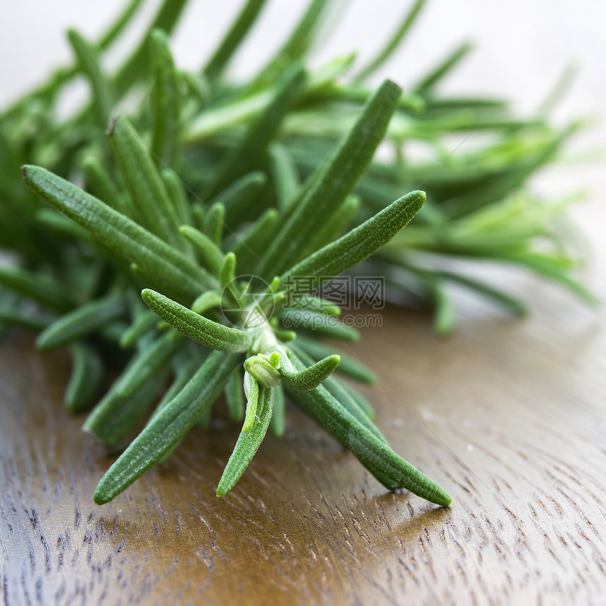 新的新玫瑰白色叶子收藏草本植物烹饪药品宏观花园草本植物图片