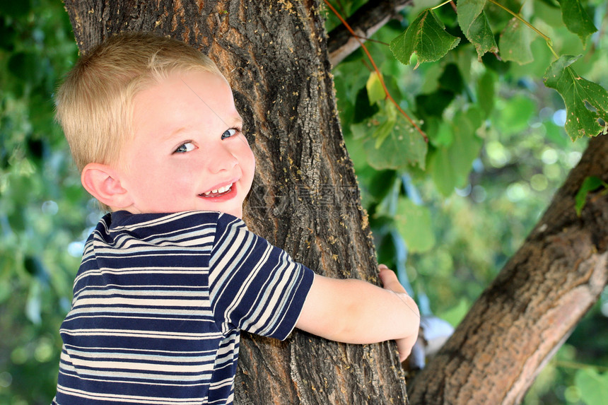 环绕爬树晴天金发孩子微笑儿童男生男性图片