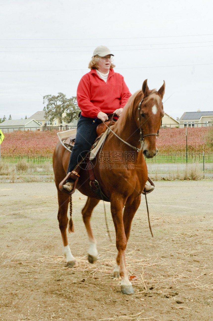 骑马的妇女哺乳动物奇蹄目女性食草骑术女士动物本土图片