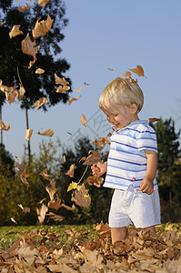亲爱的小孩年幼婴儿在落叶上玩耍背景