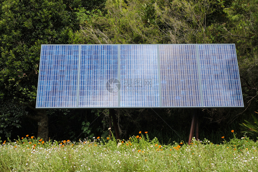 树前的太阳能面板发电机晴天技术活力力量电气绿色创新集电极控制板图片