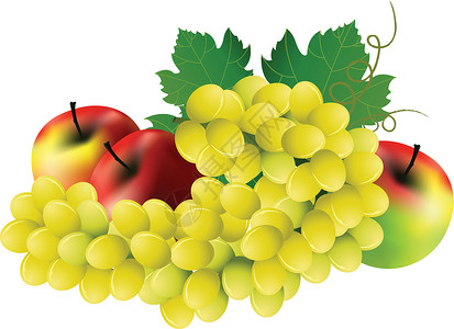 季节性水果有苹果的葡萄设计图片