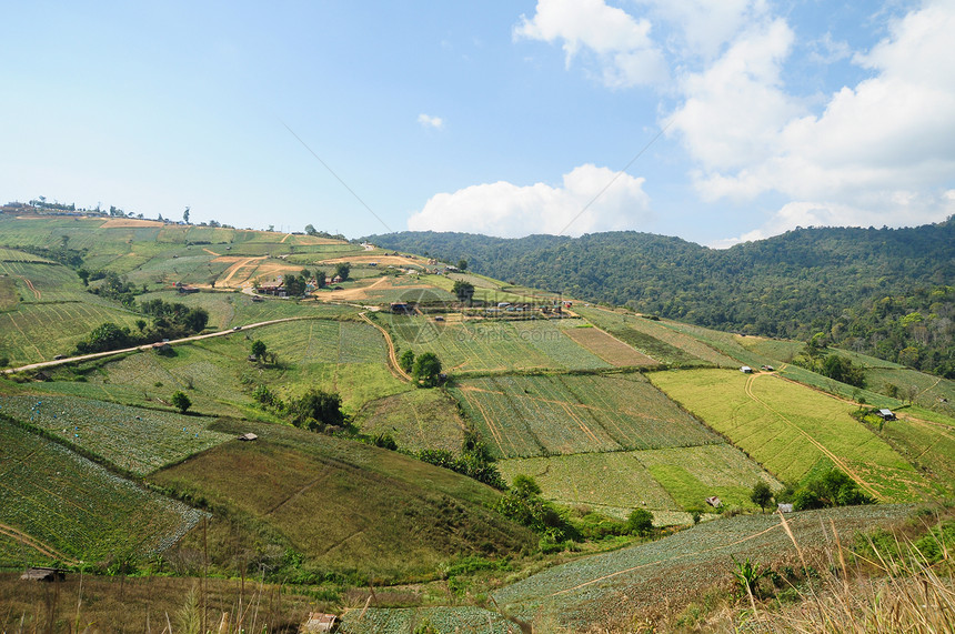 泰国山区地貌和农庄情况小屋栽培艺术稻田灌溉智力韵律谷物生产脚步图片