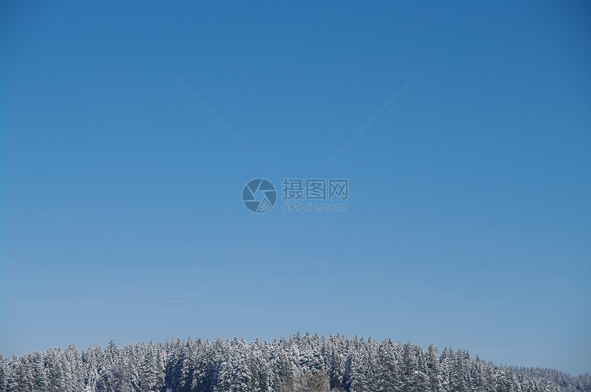 圣诞节季节性季节蓝色风景森林天空小路天气白色图片