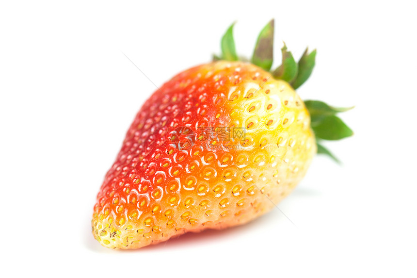 大红草莓 白边隔离草本薄荷种子宏观药品红色植物水果健康白色图片