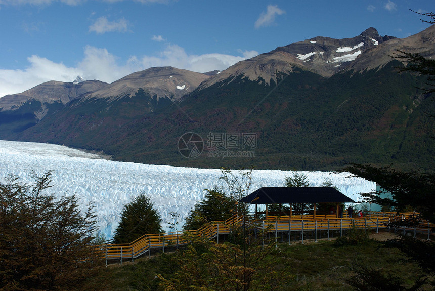 阿根廷佩里托莫雷诺冰川旅游木头风景旅行冰山森林荒野图片