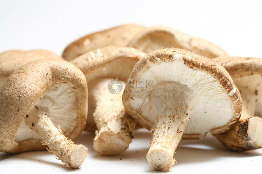 蘑菇情调烹饪培育药品白色愈合蔬菜异国棕色生产图片