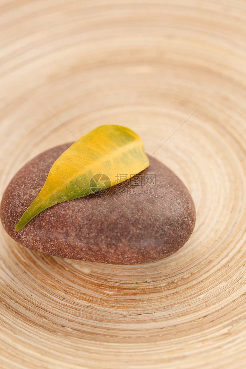 石头上的黄叶叶子温泉植物木头药品岩石黄色植物群治疗冥想图片