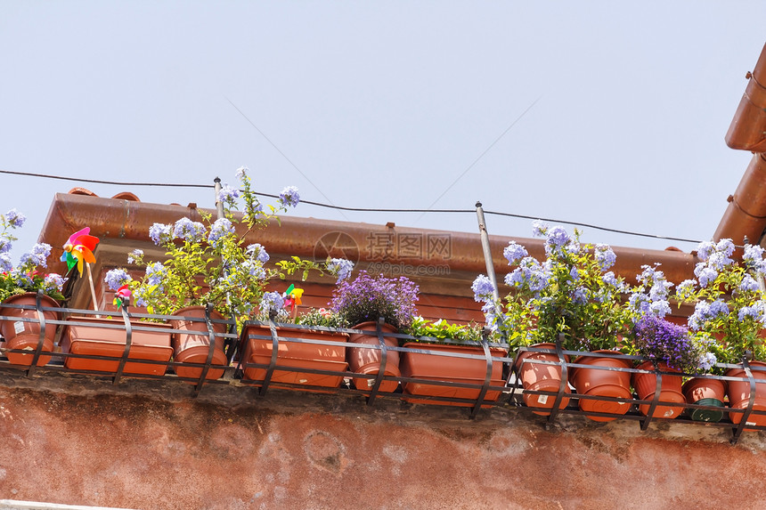 鲜花阳台黏土假期地标建筑旅游村庄旅行植物房子花朵图片