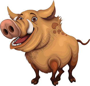 猪拱嘴野猪牙齿鼻孔粉色动物群耳朵蹄子动物棕色象牙植物群插画