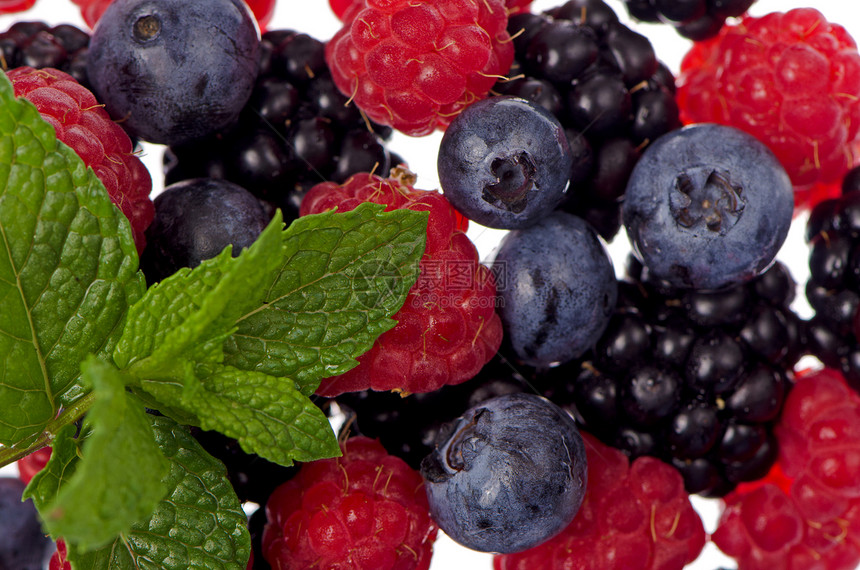 红果醋栗紫色黑色香味饮食浆果水果白色团体绿色图片