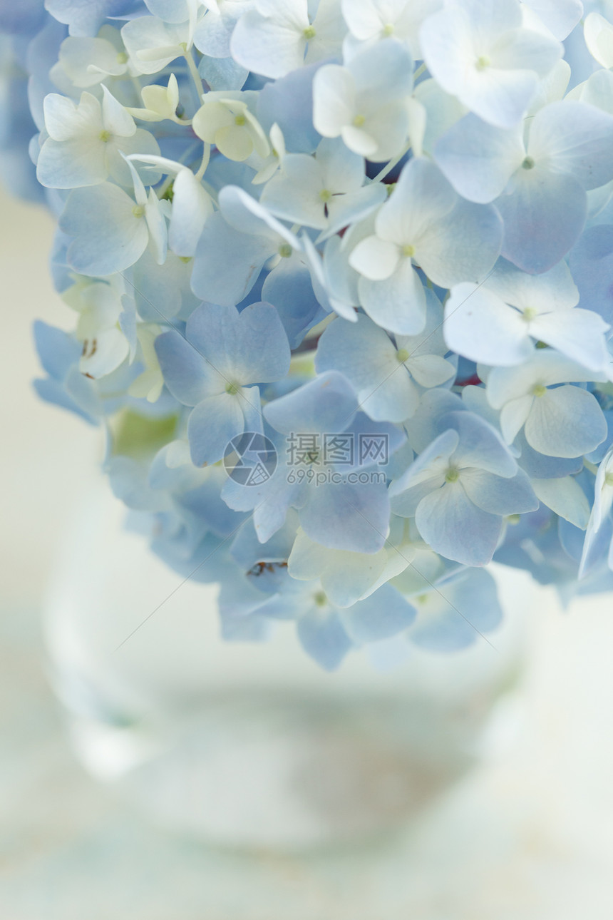 花瓶中的蓝色花朵明信片餐厅季节投标绣球花压痛叶子紫丁香花束桌子图片