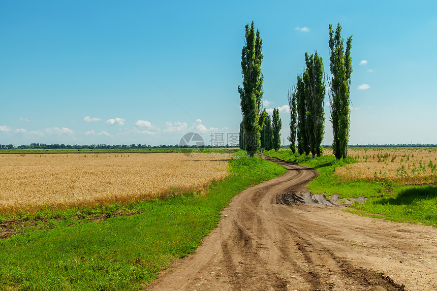 农业田地的肮脏道路图片