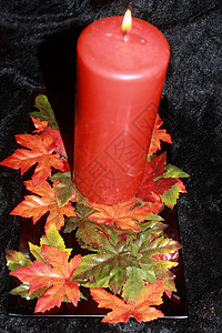 秋秋装饰蜡烛盘子树叶棕色背景图片
