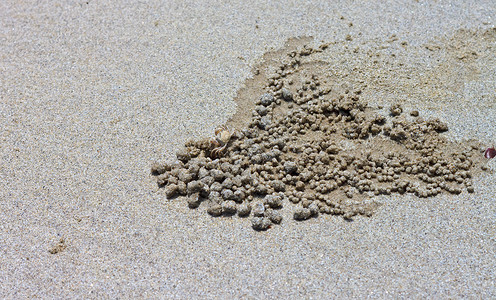 蚂蚁字壳素材沙上刻着的碑文字法冲浪阳光海浪海洋边缘场景数字海景地平线背景