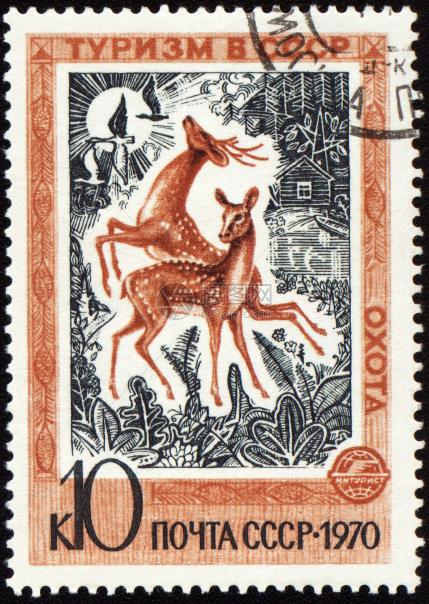 在邮票上打鹿图片