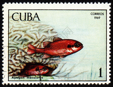 兔年邮票鱼邮票上贴有鱼章的马库拉图人背景