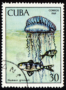 兔年邮票鱼邮票上贴有鱼Nomeus的印章背景