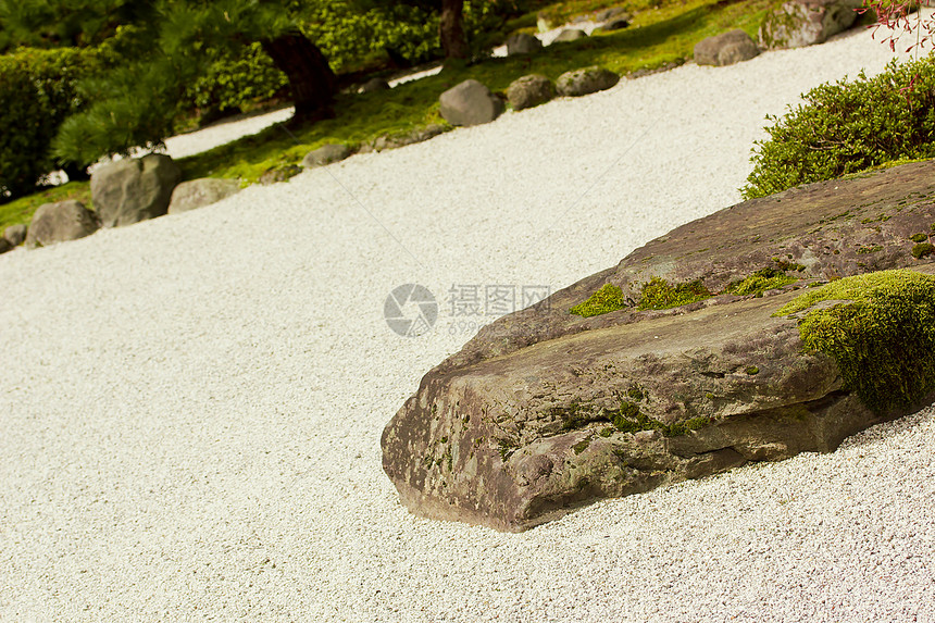 石头园寺庙植物群苔藓石头樱花艺术佛教徒植物岩石花园图片